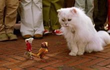 Stuart Little 2 2002 Bluray Full Movie Download HD Dual Audio