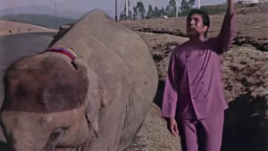 Haathi Mere Saathi 1971 Full Movie Download Free HD 720p