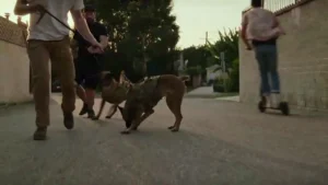 Dog 2022 Full Movie Download Free HD Web-DL